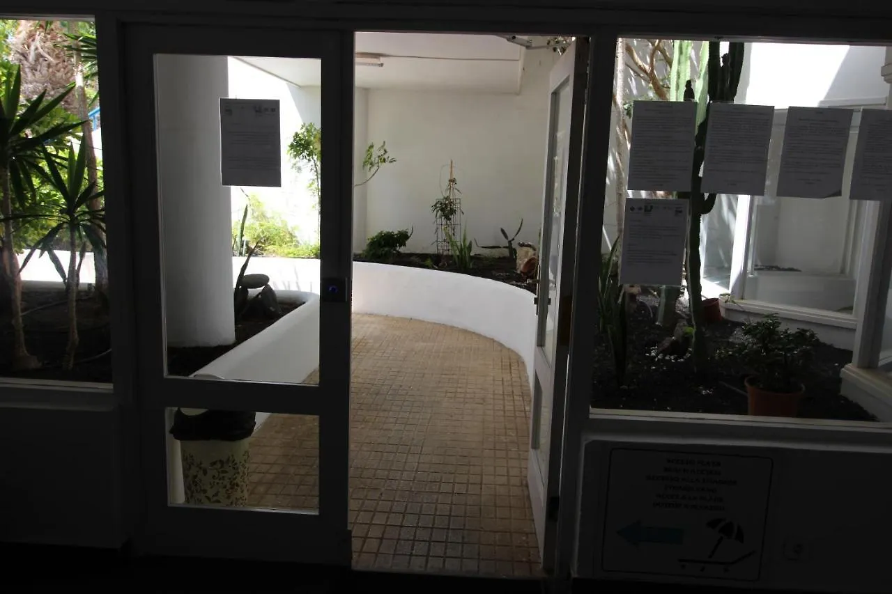 Apartament Everything You Need. All Right Here. Costa Adeje   Costa Adeje (Tenerife)
